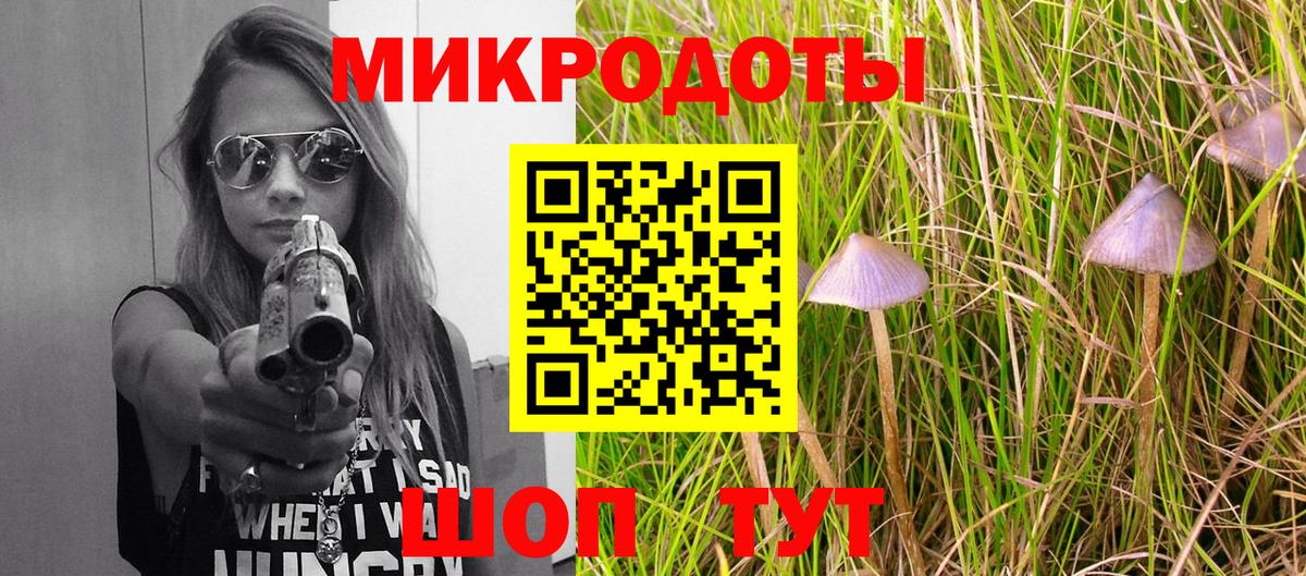 Галлюциногенные грибы Psilocybe  Вход с VPN  Алатырь 